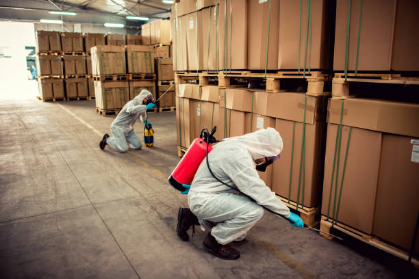 Best Mosquito Control Services  in Temple, TX