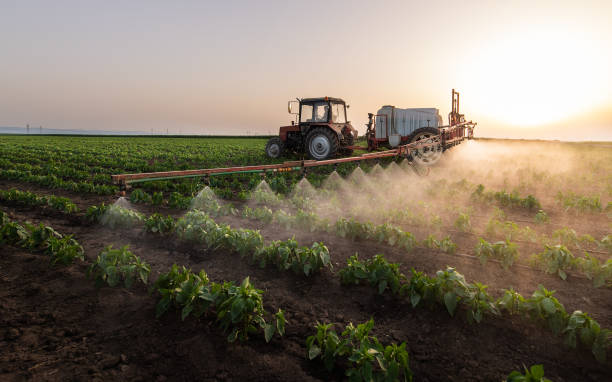Reliable Temple, TX Pest Control Solutions