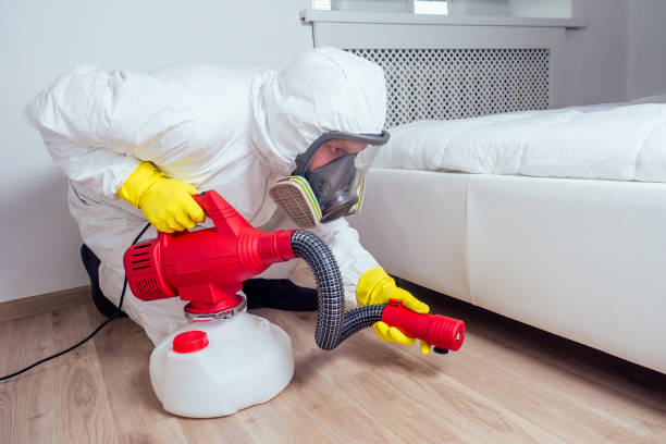 Reliable Temple, TX Pest Control Solutions